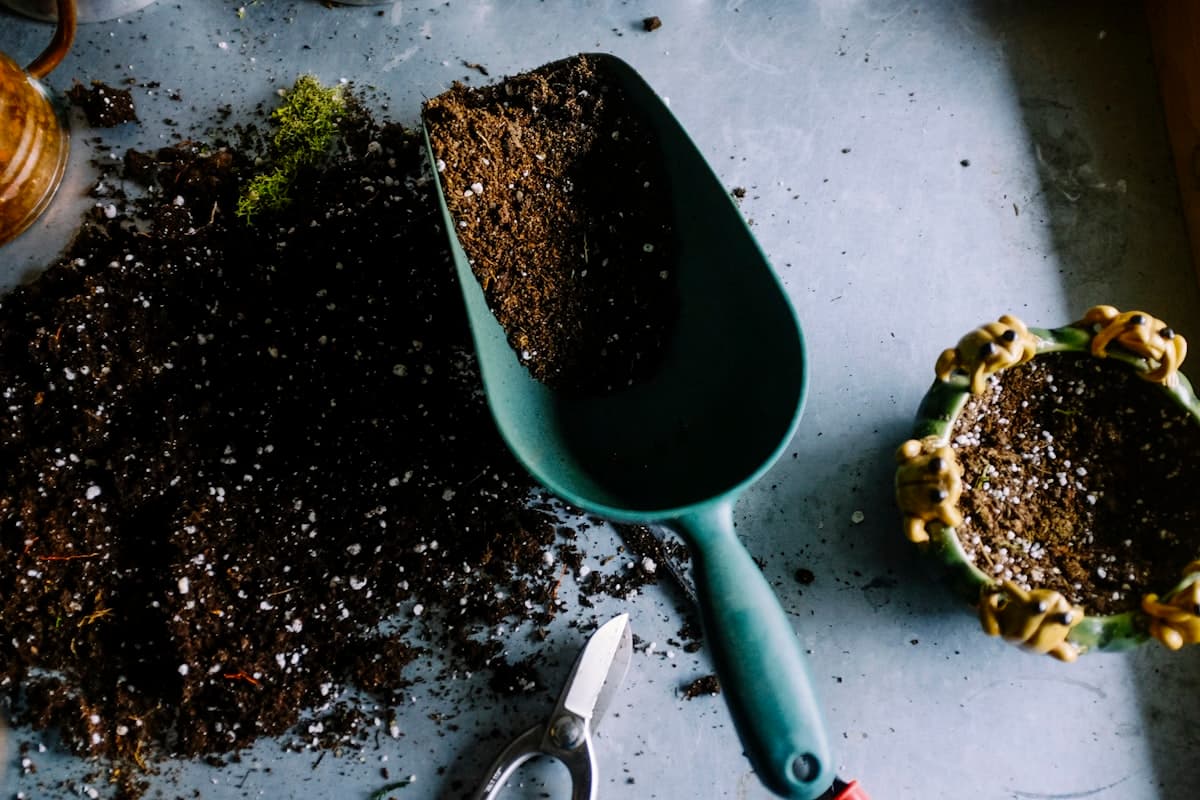 Gardener planting seedlings in a landscaped garden bed